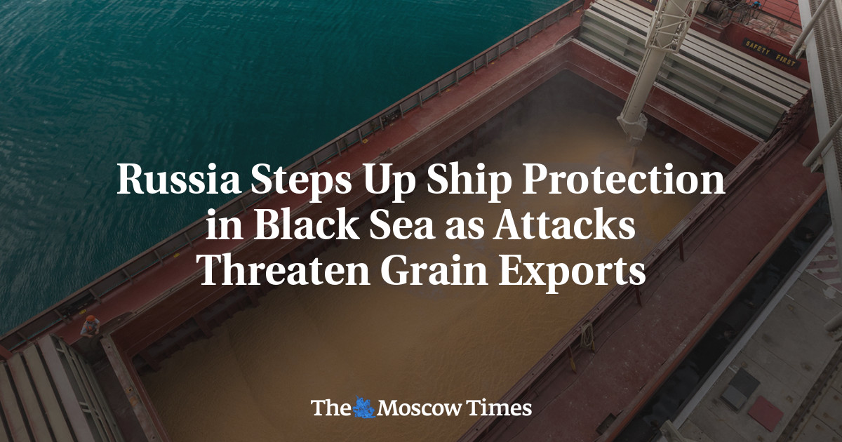 Russia Steps Up Ship Protection in Black Sea as Attacks Threaten Grain Exports