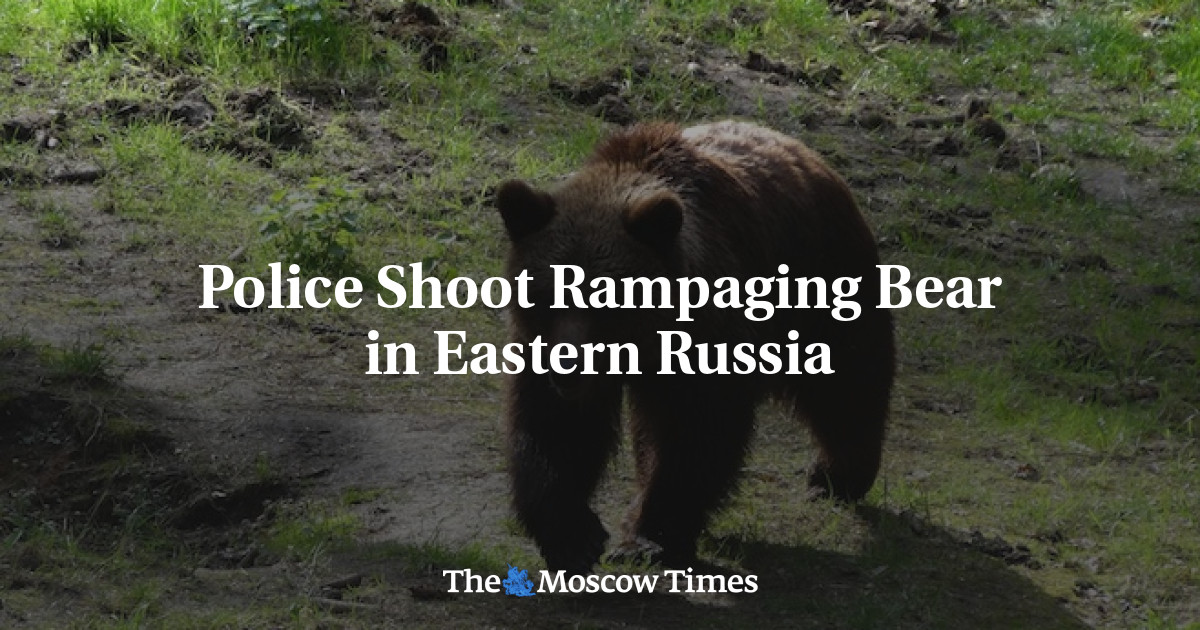 Police Shoot Rampaging Bear in Eastern Russia