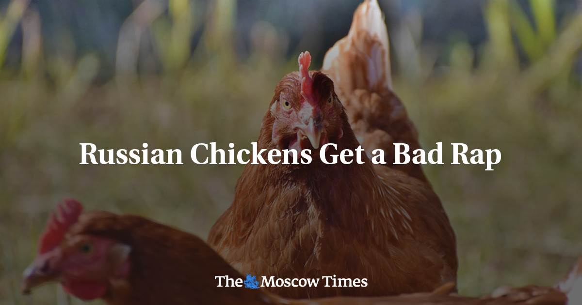 Ayam Rusia mendapat reputasi buruk