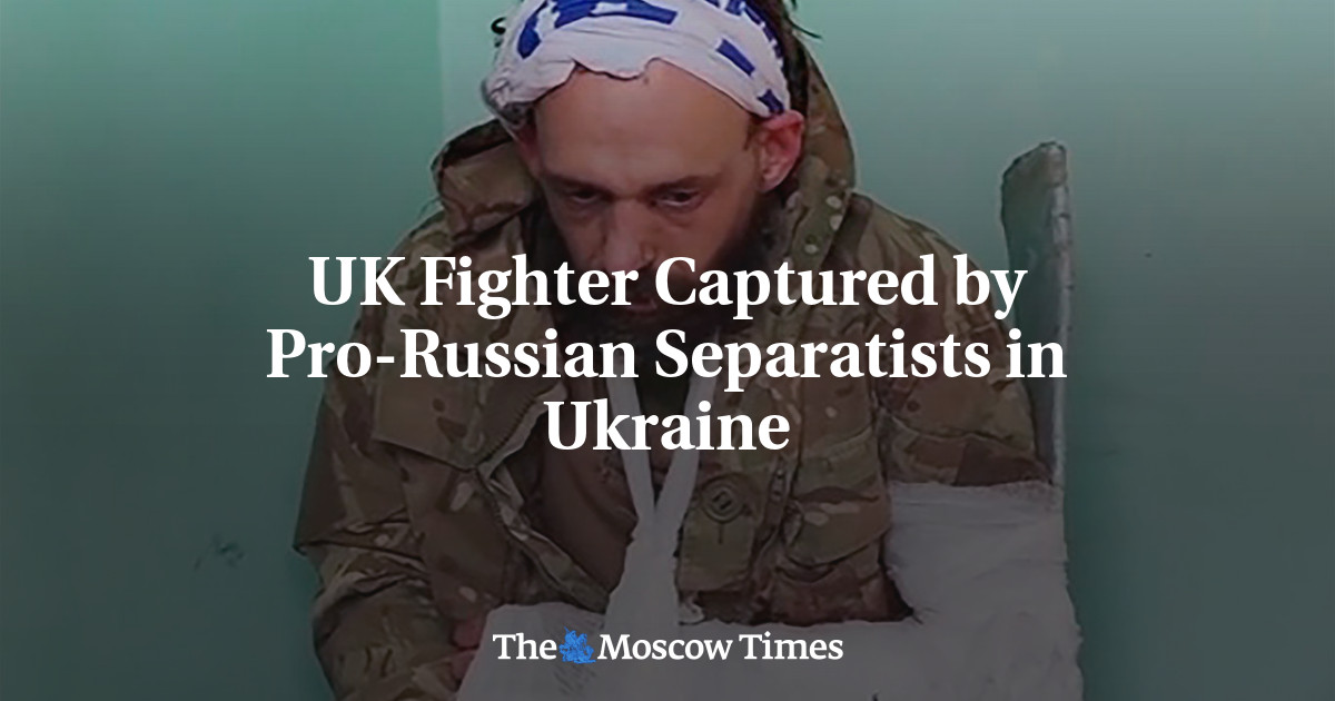 UK Fighter Captured By Pro-Russian Separatists In Ukraine - The Moscow ...