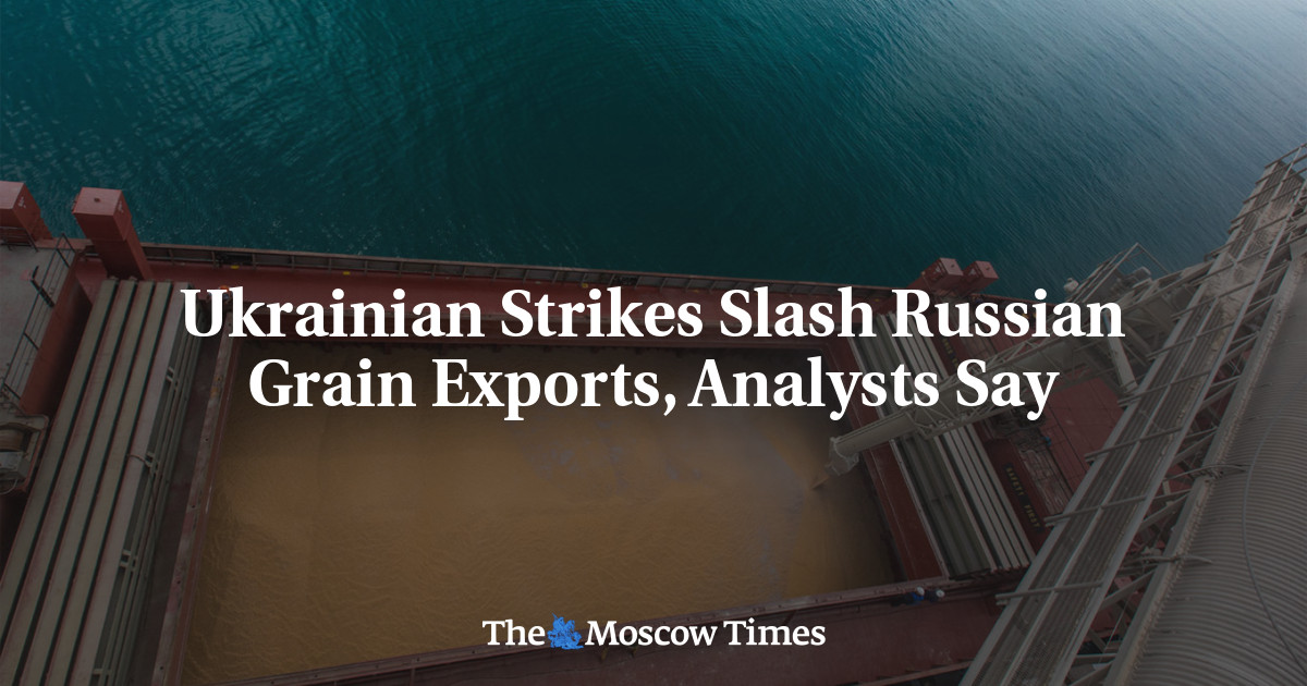 Ukrainian Strikes Slash Russian Grain Exports, Analysts Say
