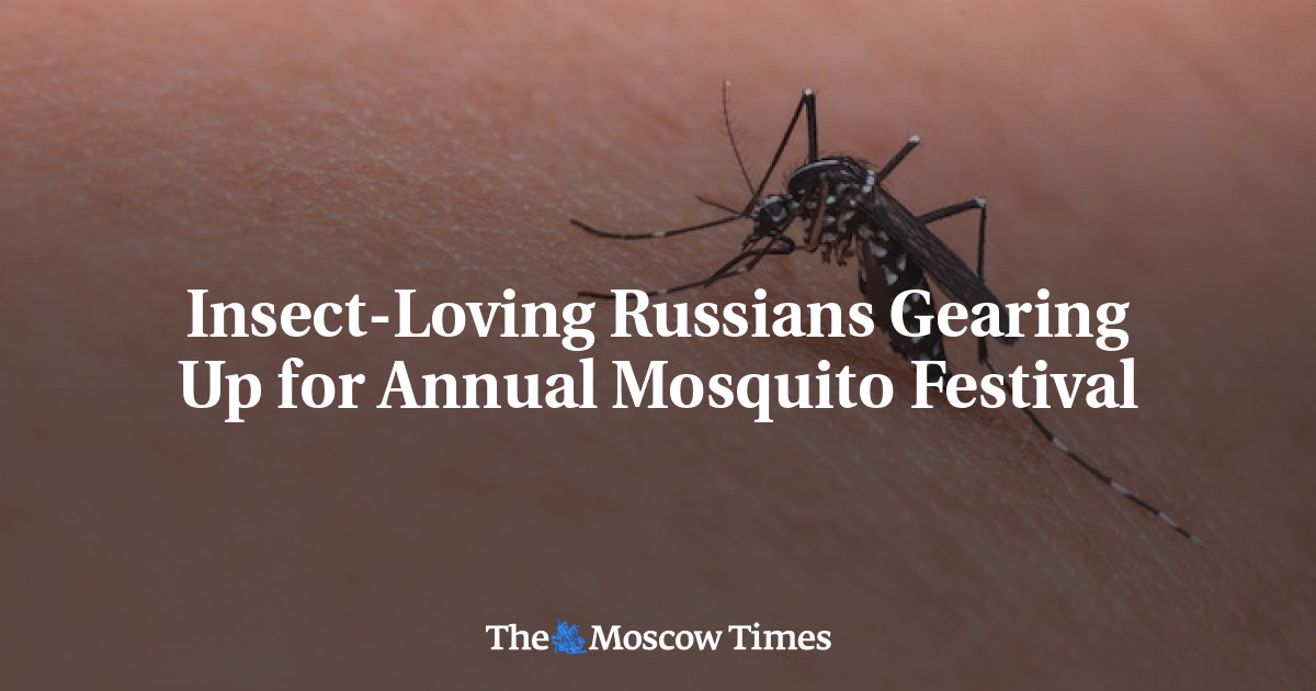 InsectLoving Russians Gearing Up for Annual Mosquito Festival