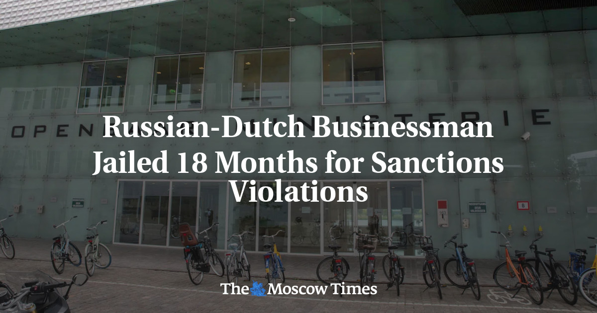 Russian-Dutch Businessman Jailed 18 Months for Sanctions Violations