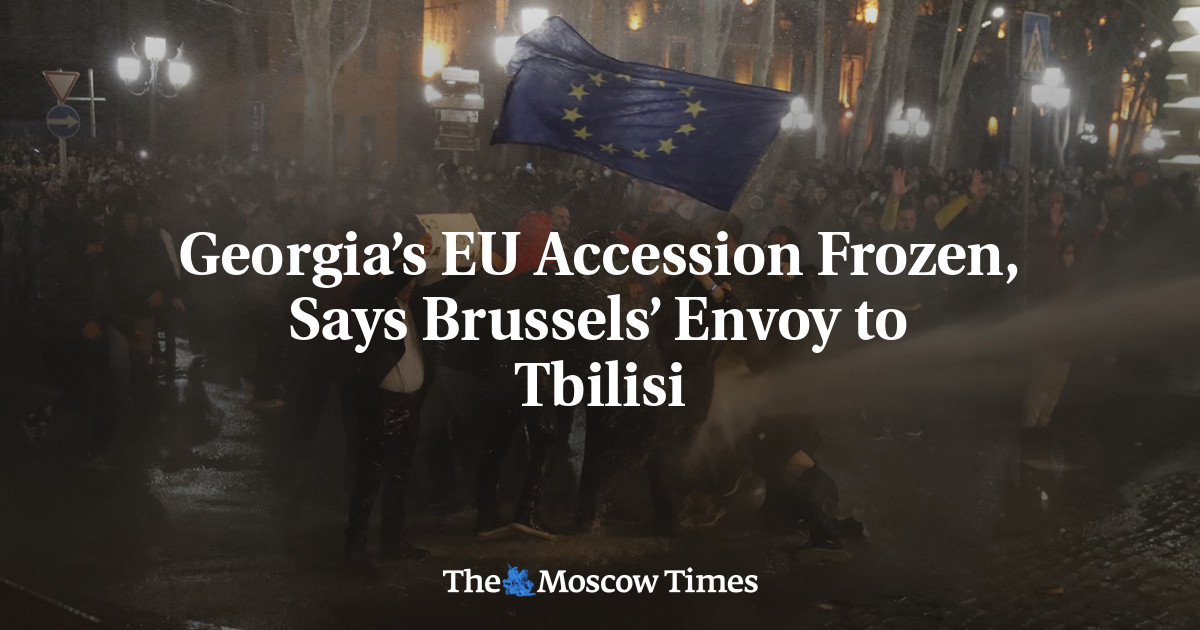 Georgia’s EU Accession Frozen, Says Brussels’ Envoy to Tbilisi – The Moscow Times
