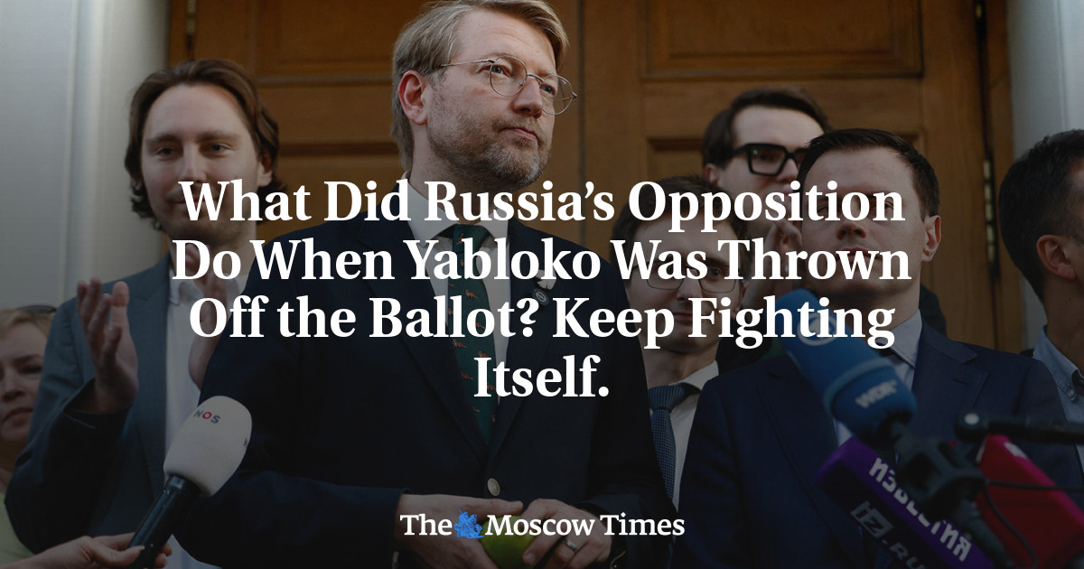 What Did Russia’s Opposition Do When Yabloko Was Thrown Off the Ballot? Keep Fighting Itself.