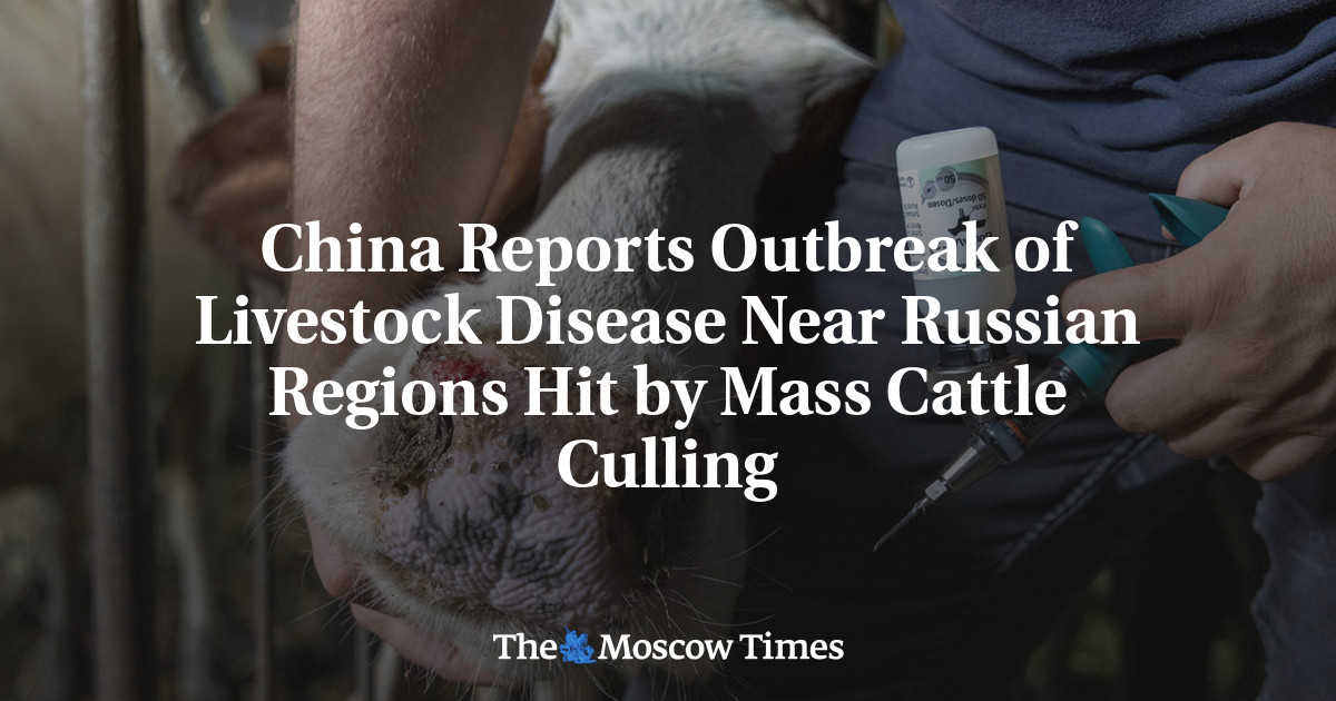 China Reports Outbreak of Livestock Disease Near Russian Regions Hit by Mass Cattle Culling
