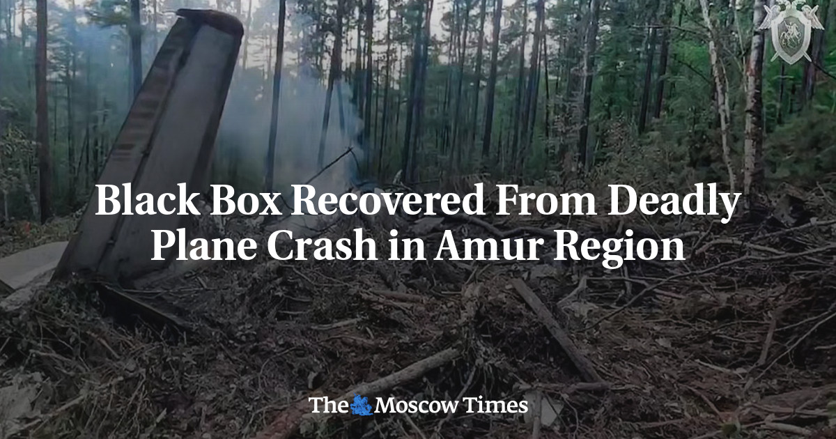 Black Box Recovered From Deadly Plane Crash in Amur Region - The Moscow ...