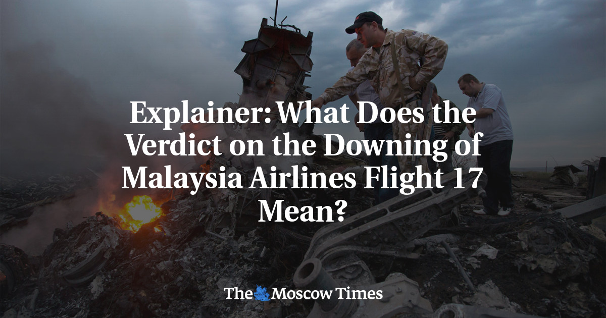 Объяснитель: Что означает вердикт о крушении рейса 17 Malaysia Airlines?