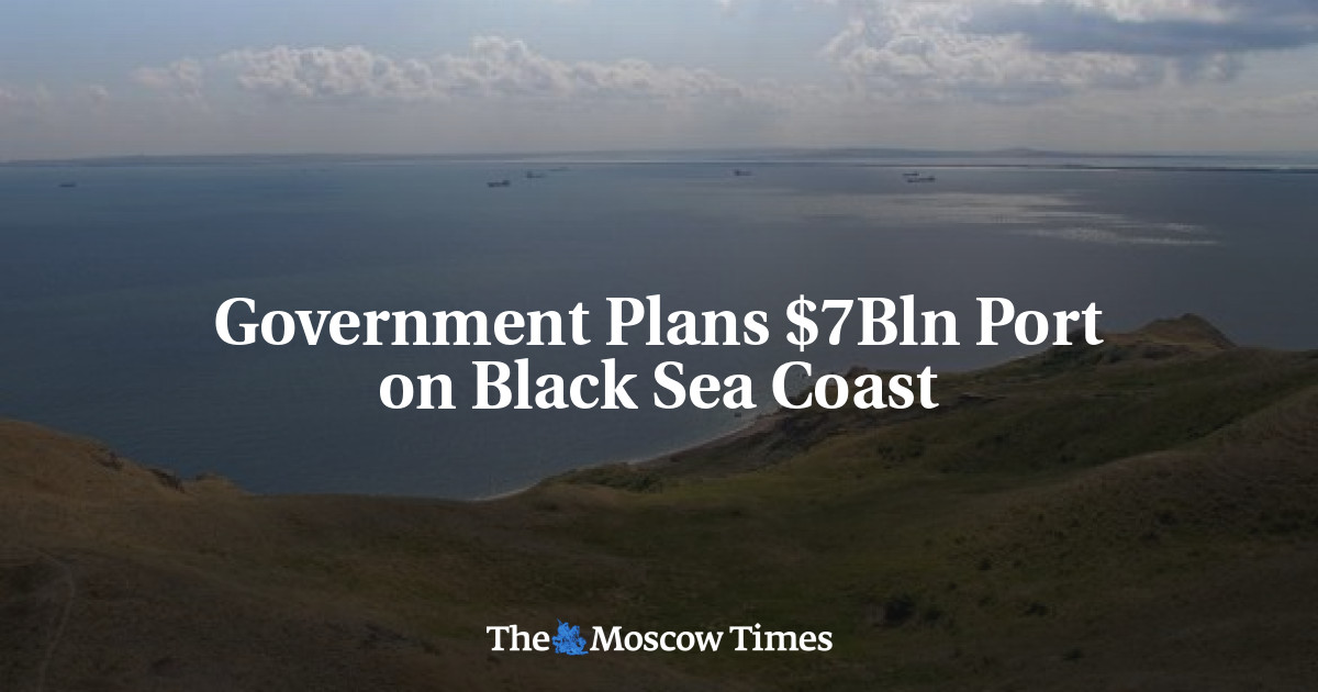 Government Plans $7Bln Port on Black Sea Coast