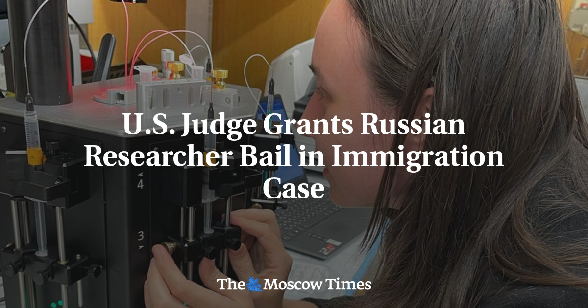 U.S. Judge Grants Russian Researcher Bail in Immigration Case