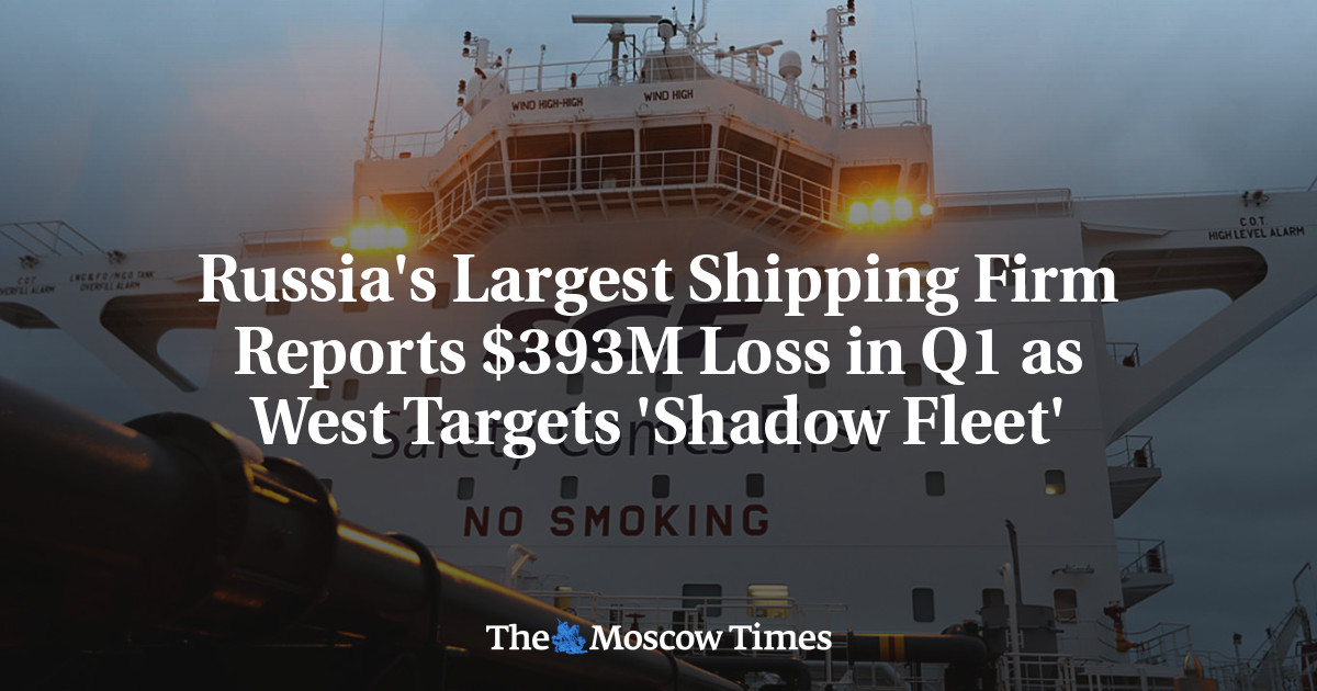 Russia's Largest Shipping Firm Reports $393M Loss in Q1 as West Targets 'Shadow Fleet'
