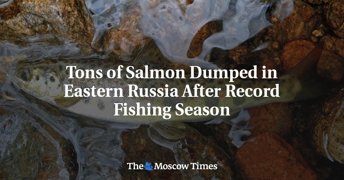 Seafood Media Group - Worldnews - Kamchatka fishing situation