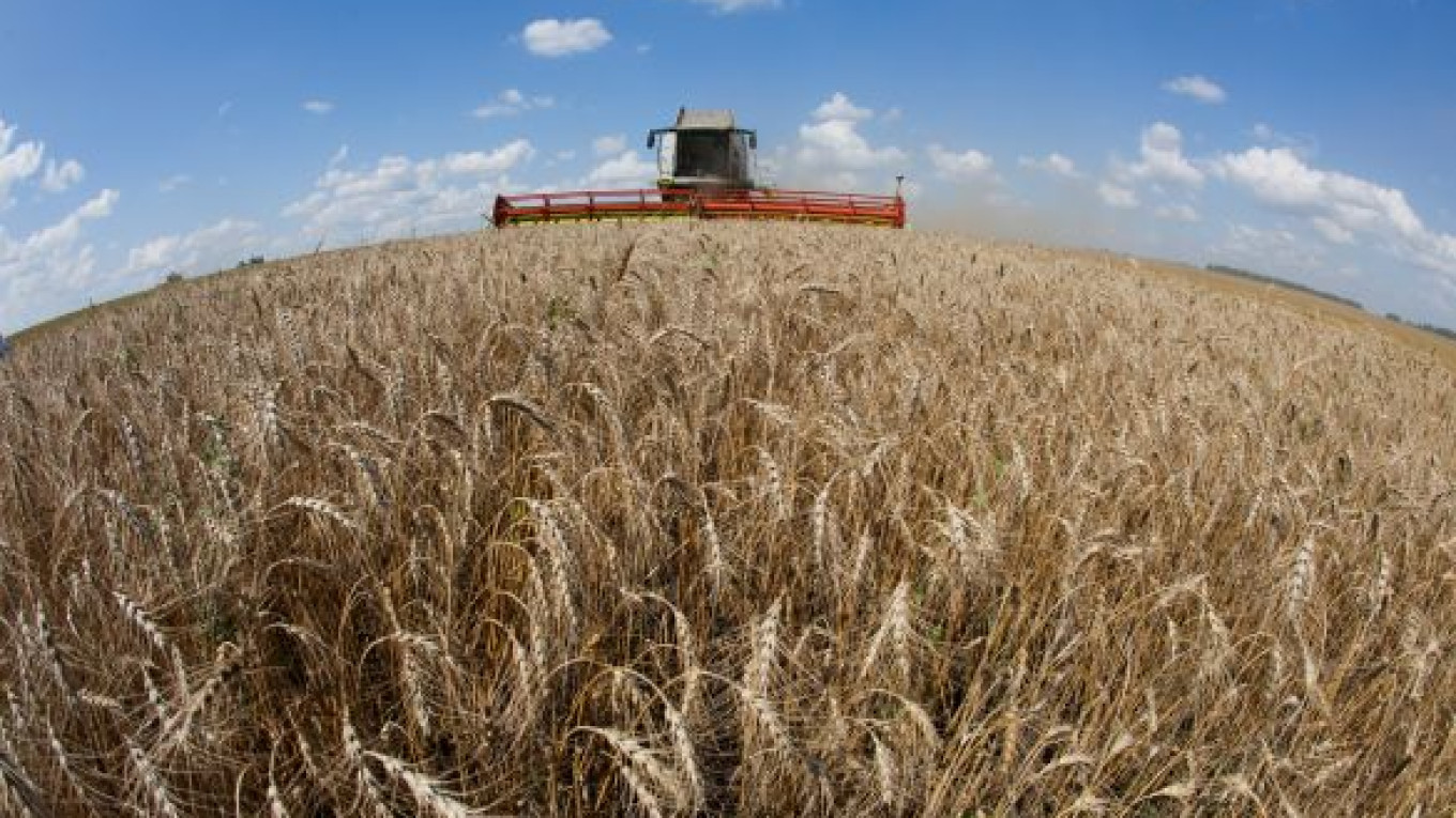 Soyuz Takes Leading Place on Grain Market