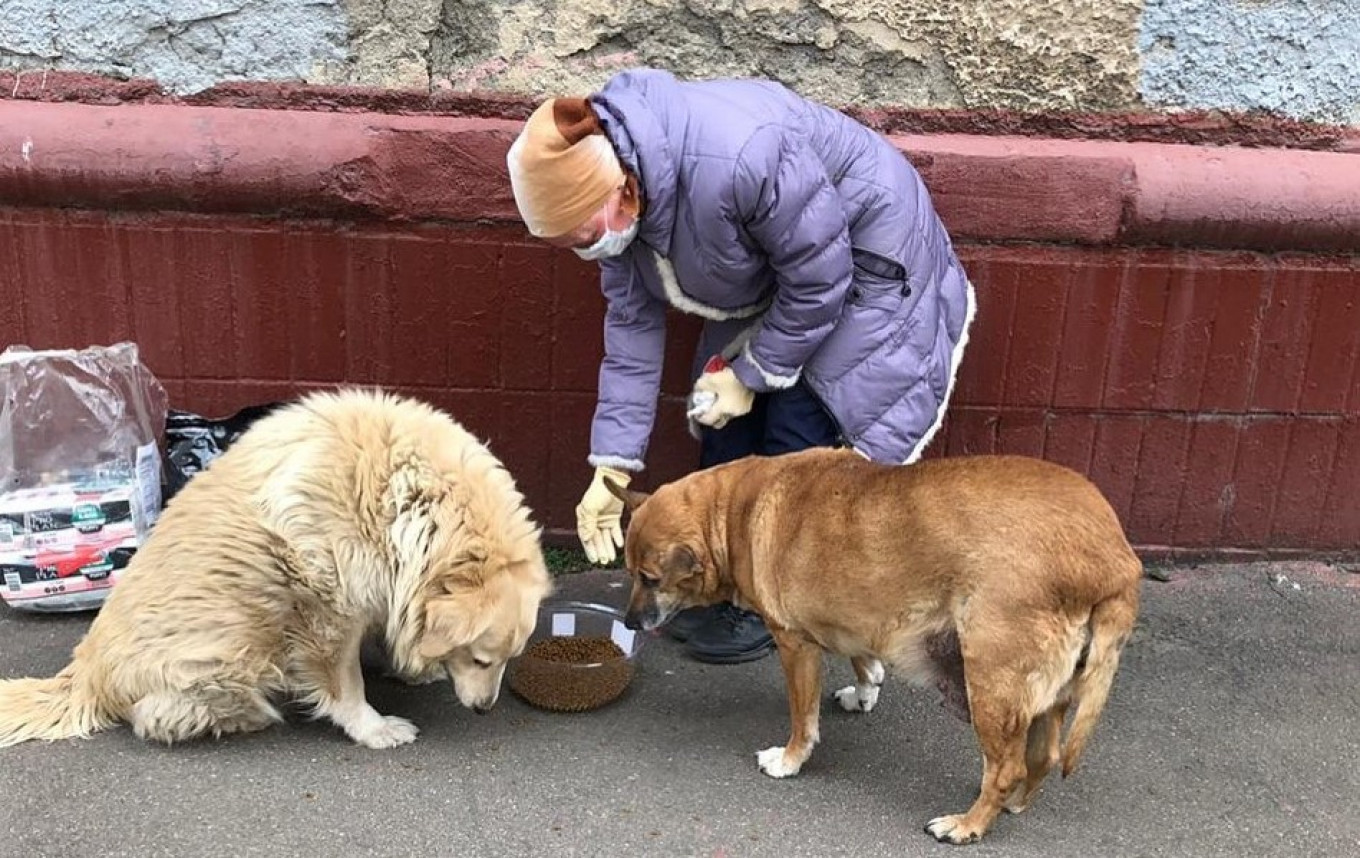 Накорми